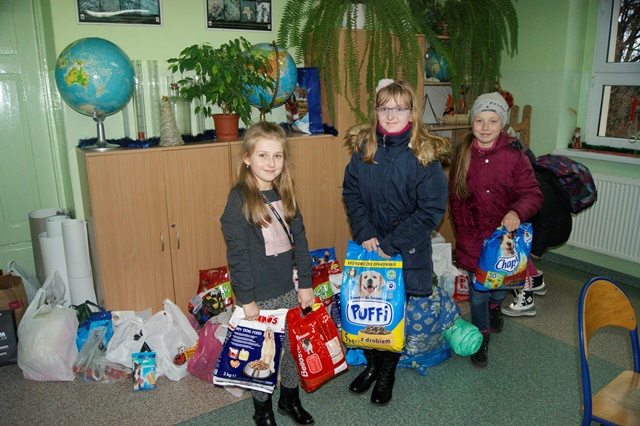 Zbiórka karmy dla zwierząt ze schroniska