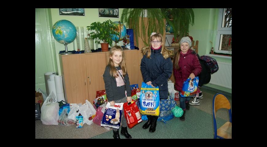 Zbiórka karmy dla zwierząt ze schroniska